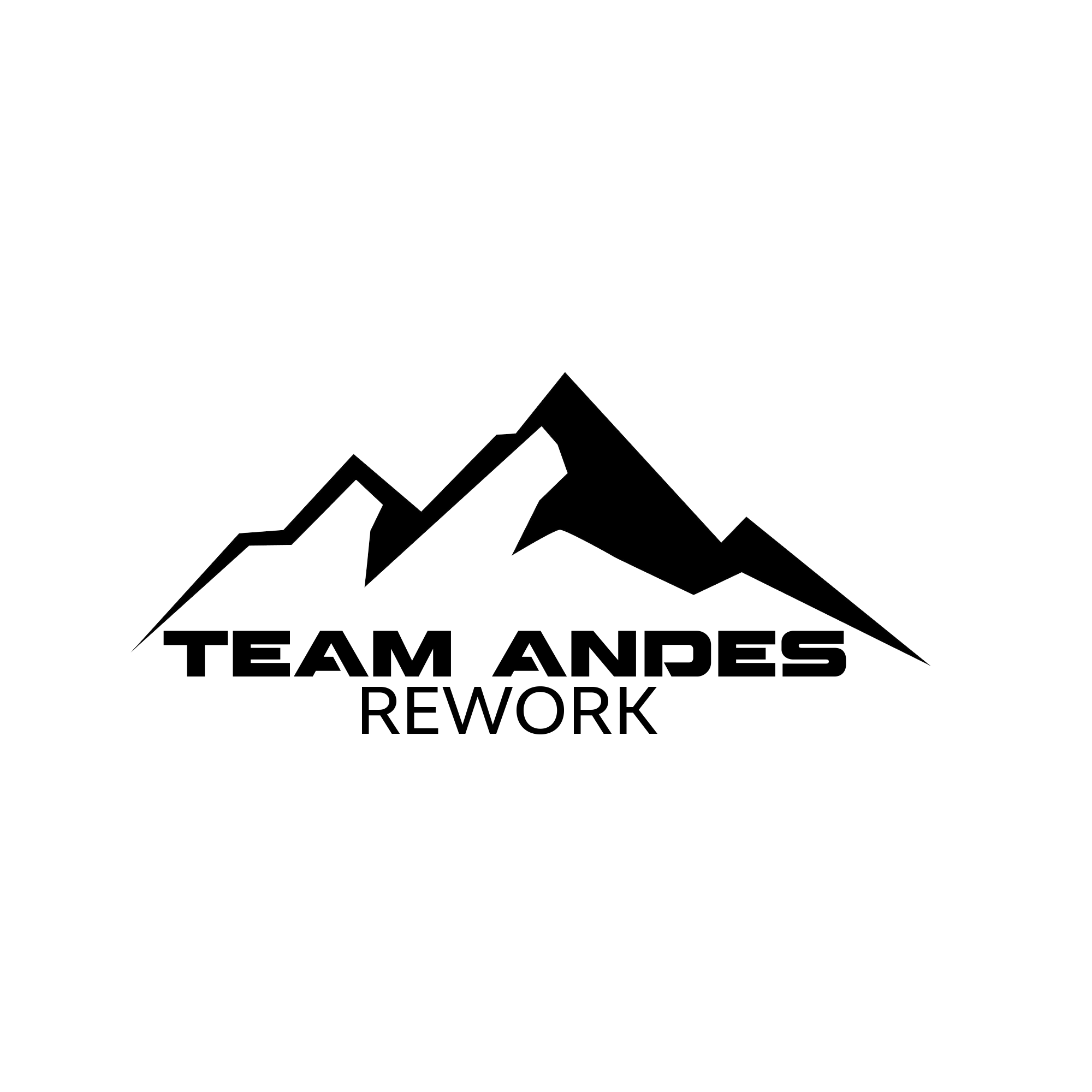 Team Andes Rework